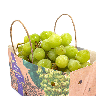 Kraft Paper Bags For Fruits And Vegetables With Paper Twist Rope Handle