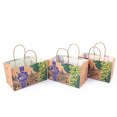 Square Bottom Fruit Paper Bags Disposable For Grape Apple Packaging