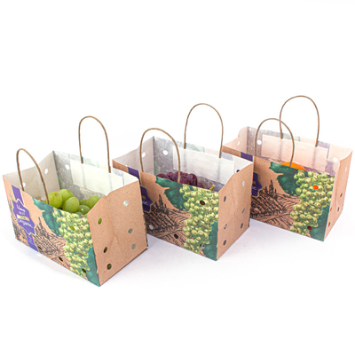 Square Bottom Fruit Paper Bags Disposable For Grape Apple Packaging