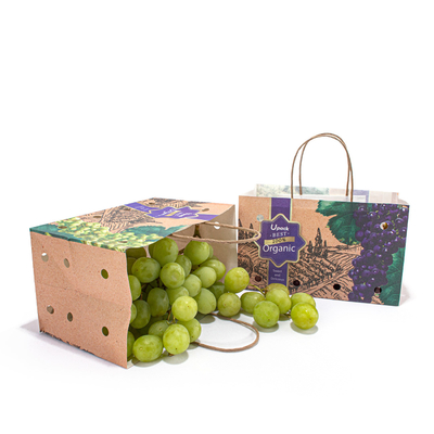 Take Away Fruit Paper Bags Recycled Sustainable With CMYK Color