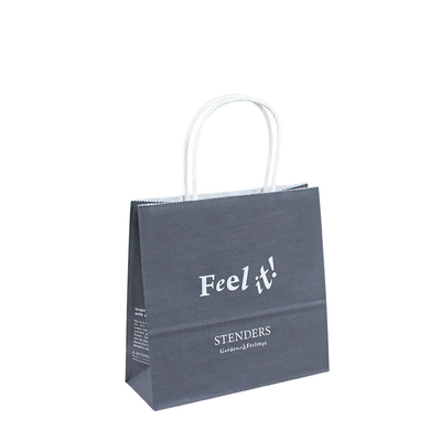 Customized Logo Gift Luxury Shopping Bag Retail Hard Kraft Paper Bag