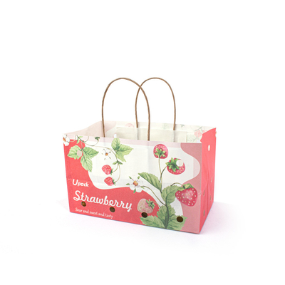 Brown / White / Customized Fruit Paper Bags With Paper Twist Rope Handle