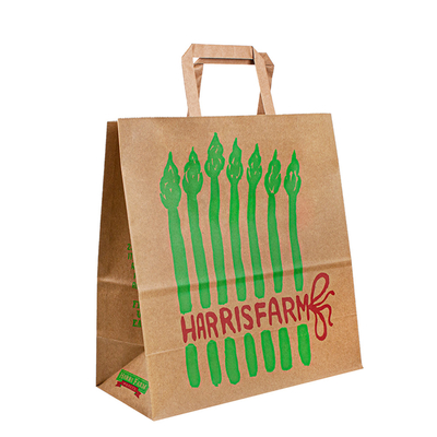 Recyclable Kraft Handle Paper Bags 10kg Carry Weight CMYK / Pantone Color