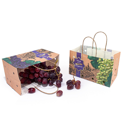 CMYK Color Fruit Paper Bags Compostable For Takeout Takeaway