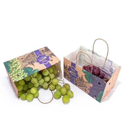 10Kg Uncoated Fruit Paper Bags 8 Color Flexo Printing OEM / ODM Available