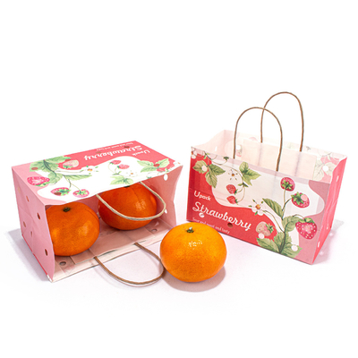 Take Away Fruit Paper Bags Recycled Sustainable With CMYK Color