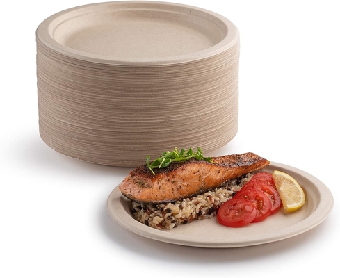 Greaseproof Sugarcane Food Tray , Compostable Disposable Plates For Halloween
