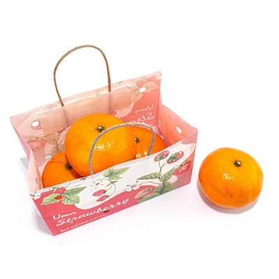 Paper Twist Rope Handle Fruit Brown Paper Bag Eco Friendly Water Based Soy Ink Printed